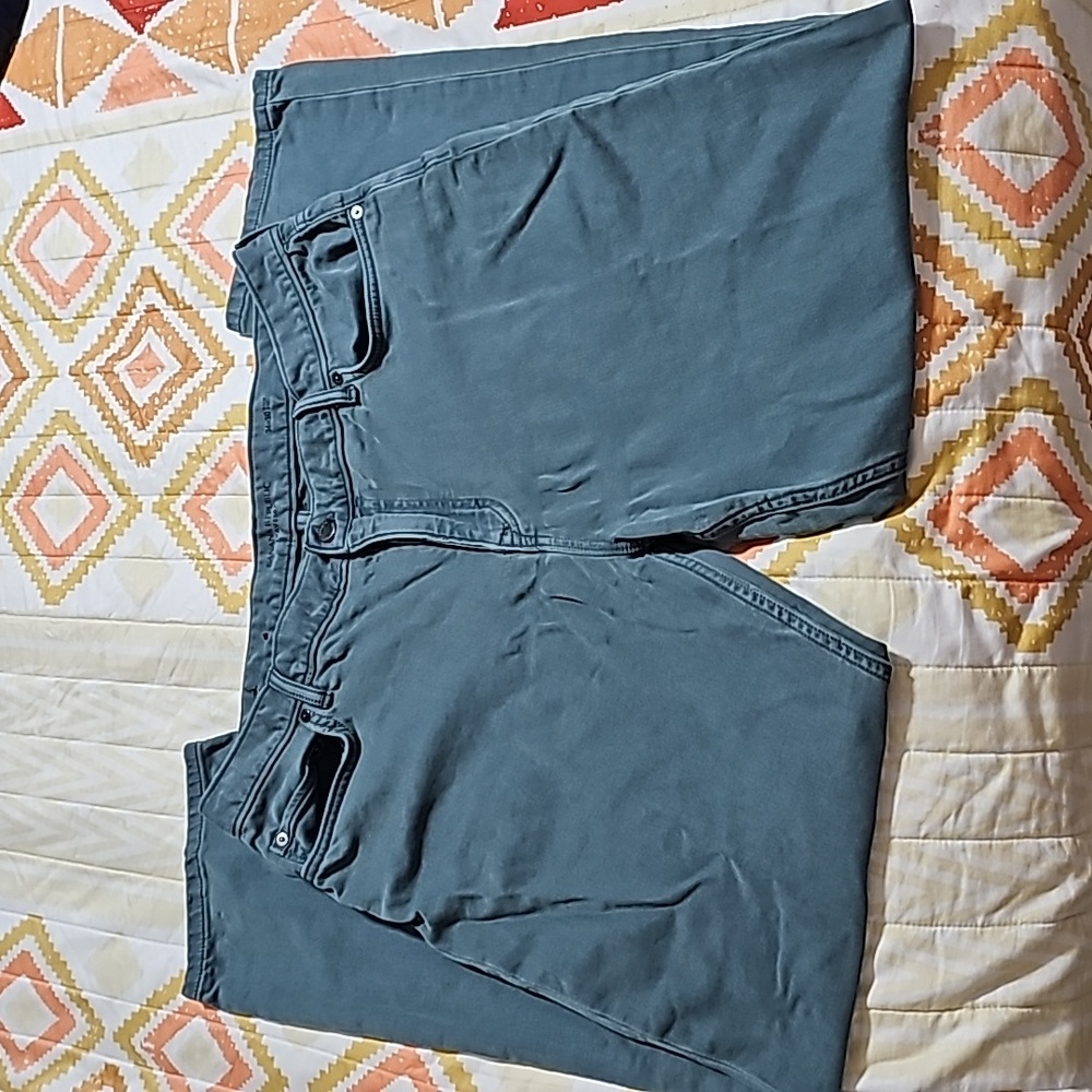 Banana Republic Traveler Pants